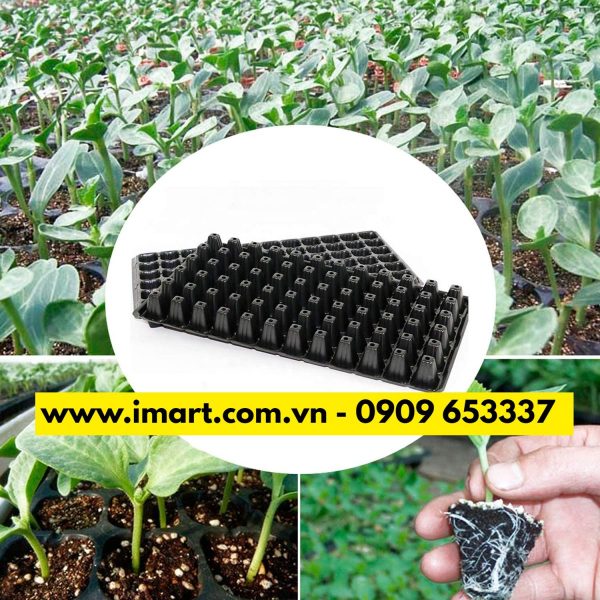 Khay nhựa ươm hạt giá rẻ số #1