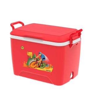 Thùng Đá 60 Lít Không Bánh Xe Duy Tân - hình 1