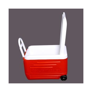 Thùng Đá Đồng Tâm 38 Lít Có Bánh Xe Thùng Đá Đồng Tâm 38 Lít Có Bánh Xe - hình 2