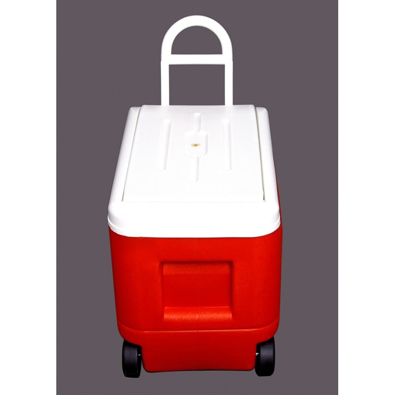 Thùng Đá Đồng Tâm 38 Lít Có Bánh Xe Thùng Đá Đồng Tâm 38 Lít Có Bánh Xe - hình 3