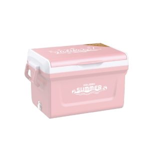 Thùng Đá ICY Duy Tân 30L giữ lạnh tiện lợi