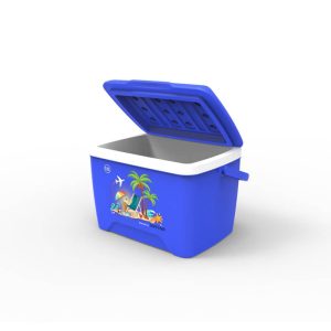 Thùng Đá Nhựa Duy Tân 12 lít giữ lạnh Thùng Đá Nhựa Duy Tân 12 lít giữ lạnh - hình 2