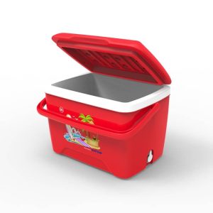 Thùng Đá Nhựa Duy Tân 25 lít - hình 1