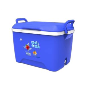 Thùng Đá Nhựa Duy Tân 45 lít