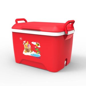 Thùng Đá Nhựa Duy Tân 45 lít - hình 1